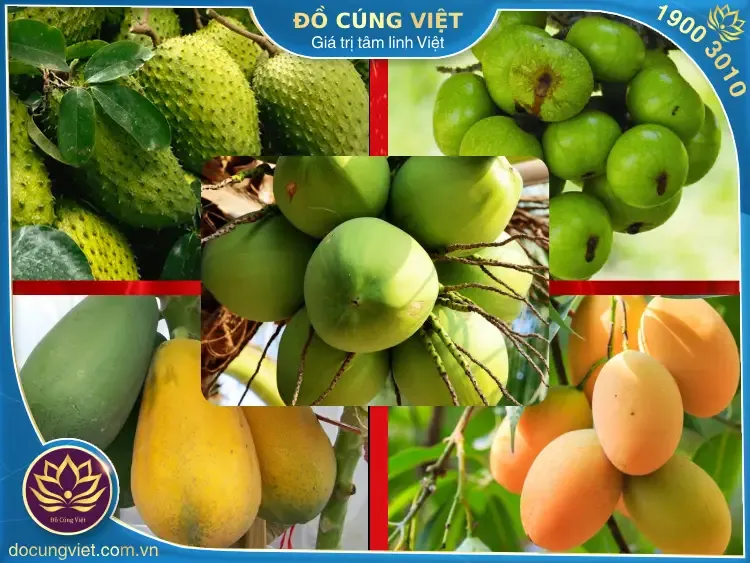 5 loại trái cây cúng khai trương: cầu, sung, dừa, đủ, xoài