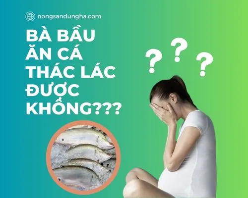 Bà bầu và cá thác lác