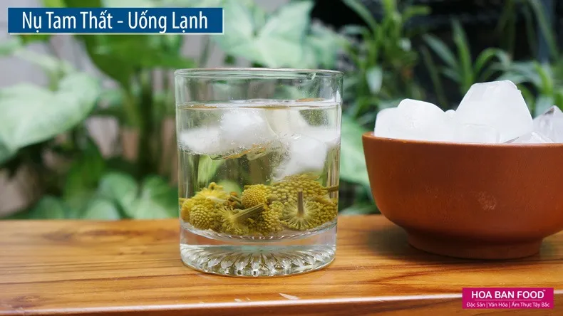 Nụ tam thất uống lạnh