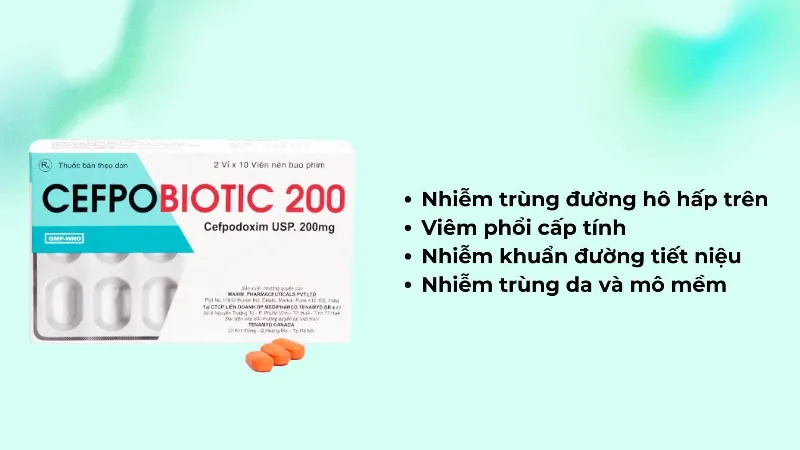 Cefbiotic hiệu quả với nhiều loại nhiễm khuẩn