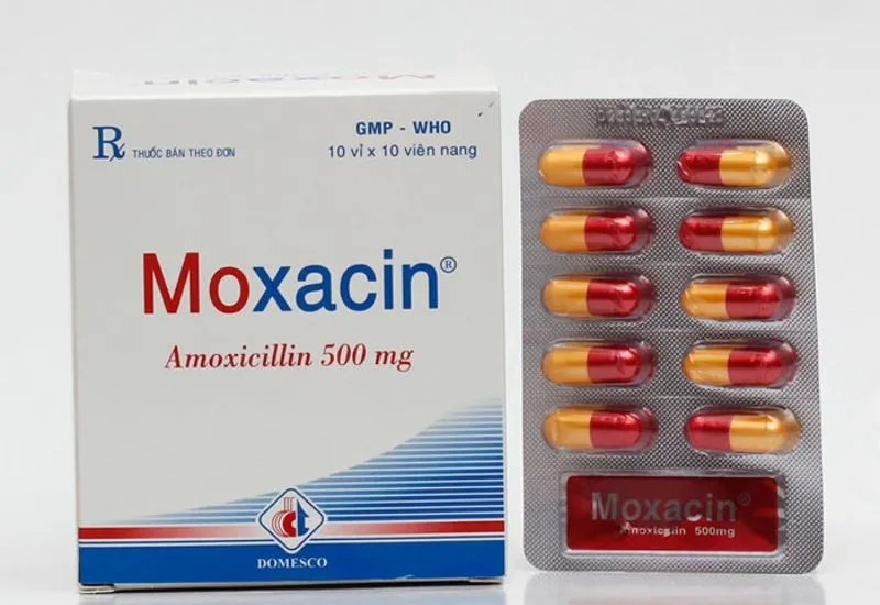 Moxifloxacin sử dụng trong trường hợp nào?