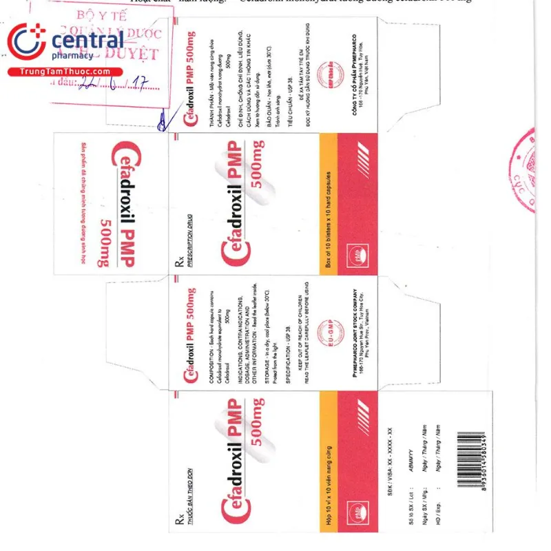 thuoc cefadroxil pmp 500mg 6 E1022